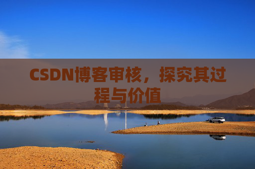 CSDN博客审核,探究其过程与价值